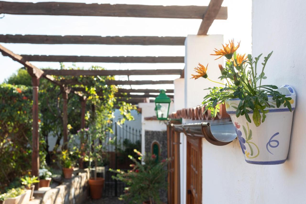 Casa Del Cura Viejo Pension Arafo Buitenkant foto